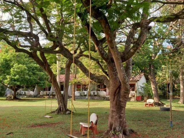 ホテル Hosteria Real サンタ・フェ・デ・アンティオキア エクステリア 写真